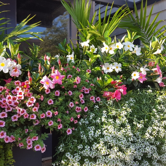 Meet your Posher, Ghislaine - Picture 4 of 5